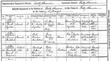 irish-births-1896