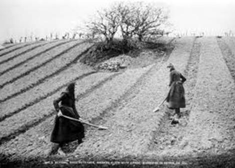 Women tilling the fields Irish Potato Famine