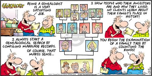 Image result for genealogy comic
