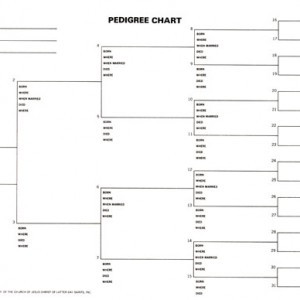 https://eogn.files.wordpress.com/2017/03/pedigreechart.jpg?w=300&zoom=2