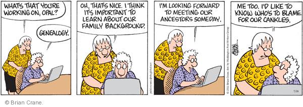 Image result for genealogy humour