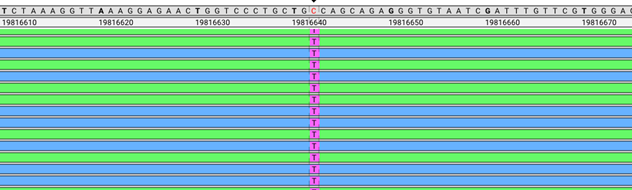 A picture containing graphical user interface

Description automatically generated