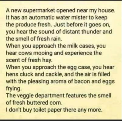 Text

Description automatically generated