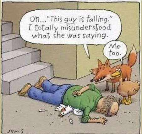 Cartoon of a person lying on the ground next to a couple of foxes

Description automatically generated