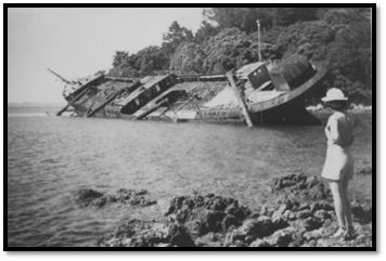 A shipwreck on the water

Description automatically generated