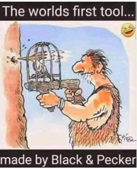 Cartoon a person holding an object and a bird in a cage

Description automatically generated