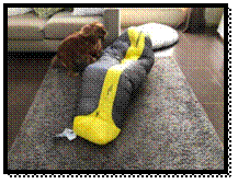 A dog standing next to a sleeping bag

AI-generated content may be incorrect.