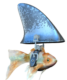 A goldfish with a shark fin attached to its back

AI-generated content may be incorrect.
